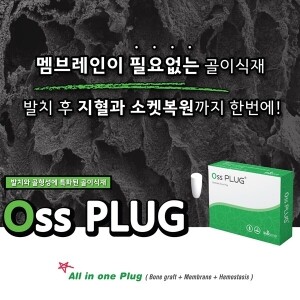 Oss Plug [합성골(지혈+소켓복원)]